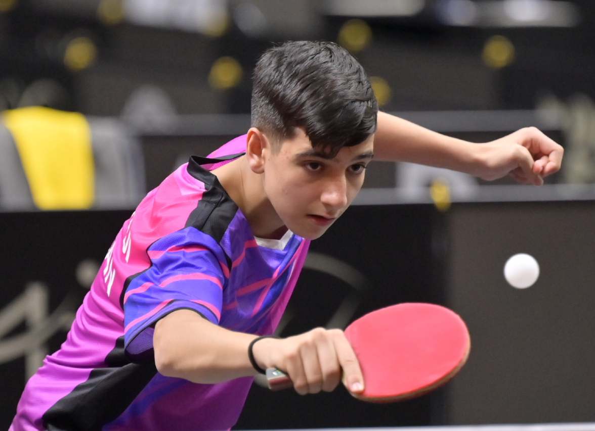 正植VS本, src 正植VS本, src